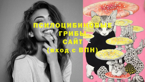 спиды Алексин