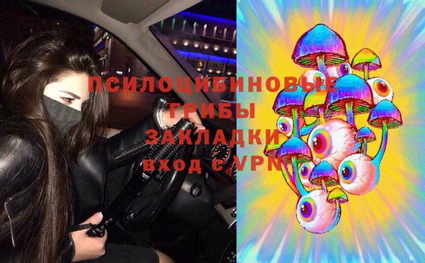спиды Алексин