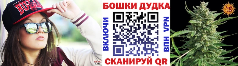 МАРИХУАНА ГИДРОПОН  сколько стоит  MEGA как войти  Заинск 